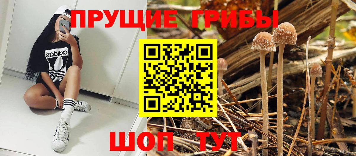 Майский  Псилоцибиновые грибы мухоморы  Вход с VPN 